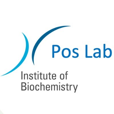 Poslab_RND's profile picture. We work on the structure and function of membrane transport machineries, in particular on multidrug efflux transporters