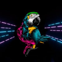 Parrot DeFi (@parrotdefinews) 's Twitter Profile Photo Parrot DeFi (@parrotdefinews) 's Twitter Profile Photo