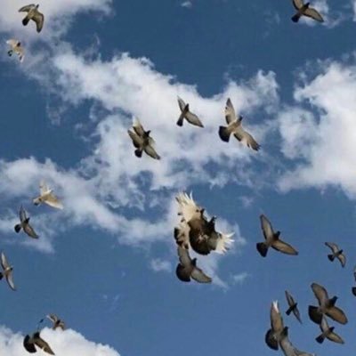 اللهمُ احفظ لي أبنائي فهٌم قرة عينيِّ و نبضٌ لـ روحٌِي ، اللهُم إنّي استودعتك إيّاهمّ فاحفظهم لي ياربّ  ‏وبارك لي فيهم وفي صحتهم وعافيتهم واسعدني بهم🫀🤍