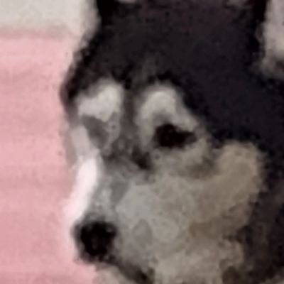 thebois69i's profile picture. Hi