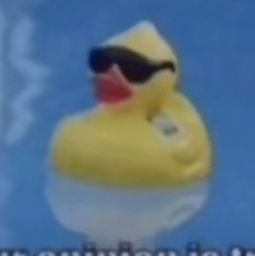 GregorTrbojevic's profile picture. 