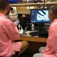 ACE Lab (@ace_lab_psu) 's Twitter Profile