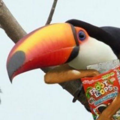 GCloudhopper's profile picture. 