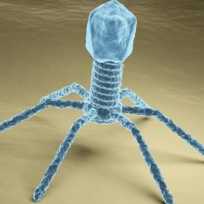 OncolytiK's profile picture. Science. Football. PolitiK.