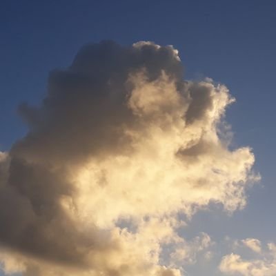 Debenebsさんのプロフィール画像