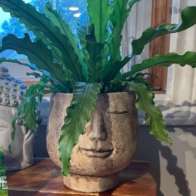 taysbitz's profile picture. Wake up