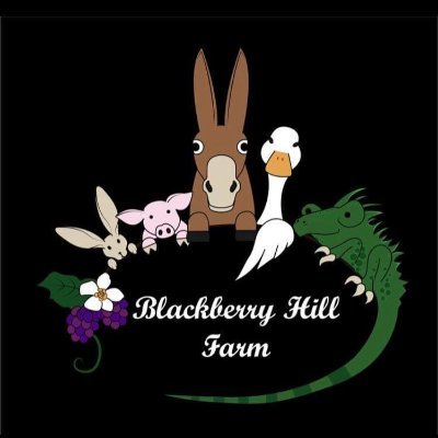 @BBhillfarmNI