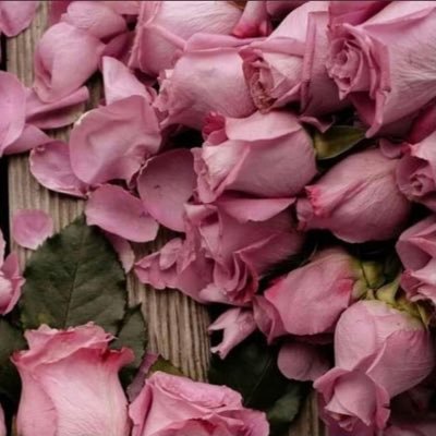 Um_Danah__'s profile picture. 