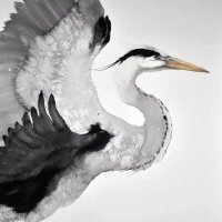 小叔子 (@5p4han) 's Twitter Profile