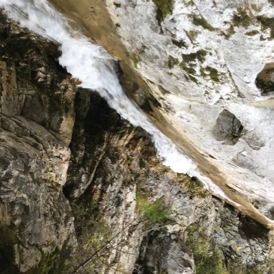 cr_estela's profile picture. 