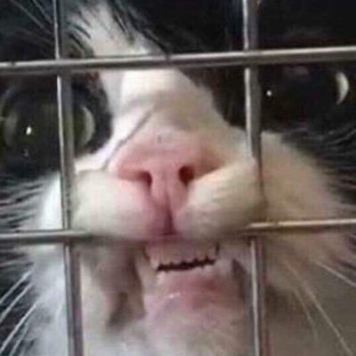 kirk_heiser's profile picture. 