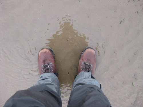 sam_i_am_taylor's profile picture. 