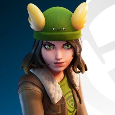 FUN FORTNITE FACTSさんのプロフィール画像