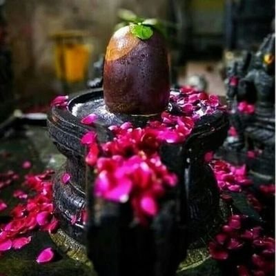 Tamilma40694374's profile picture. All is well