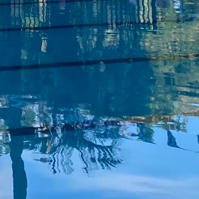 kbswims1650's profile picture. 