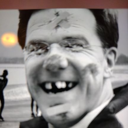 lion2455's profile picture. 