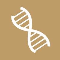 Boston College Biology Department (@biologybc) 's Twitter Profile
