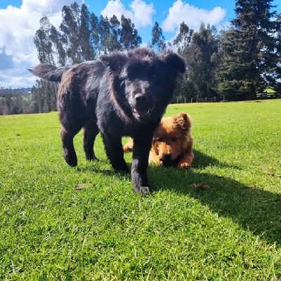 kritogallegos's profile picture. 🤓🤓🤓🤓