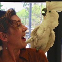 🕊Recess Awareness🌎🌍🌏🌱🛝🏖️ 🌞Peace to all🕊️ (@ink7) 's Twitter Profile