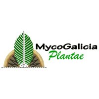 MycoGalicia Plantae (@mplantae) 's Twitter Profile