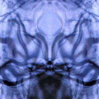 Walrus Jackboot (@jackbootwalrus) Twitter profile photo