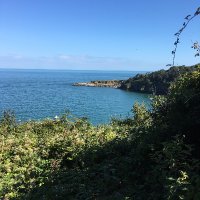 Carole chapman (@carolechapman17) Twitter profile photo