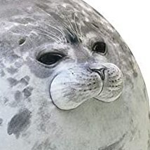 rip-van-tinkleさんのプロフィール画像