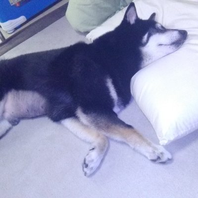 YuuMomo12321's profile picture. 