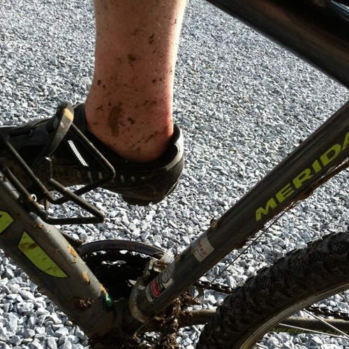 tokjell's profile picture. 