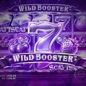 WILD Booster official