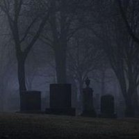 Elgiz Elxanli (@elgizelxanli) 's Twitter Profile