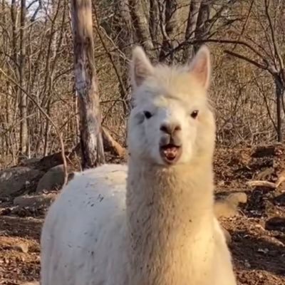 Emineminy_'s profile picture. Just one more game…🎮