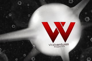 We help entrepreneurs create remarkable businesses that obtain greater influence, traffic, customers, and profits.