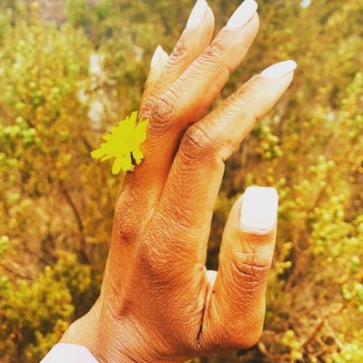TheEdgeOfTheBox's profile picture. walker • ‘less stuff more adventure’ girl • aspiring gardener • reluctant yogi • bonafide bibliophile • financial freedom🤺 • mom • wife • & more 🌍🇿🇦🇵🇹