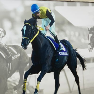 DP5z5k6VWYUZqHS's profile picture. 蛯名騎手が好きです。ダービージョッキーになるまで馬券買い続けます。皆さんと楽しく競馬の話が出来たらいいな〜🐎 麻雀好き🀄️最近は三麻専門です。犬好きです。柴犬が1番お気に入り🐕日本大好き🇯🇵生まれ育ったこの国に難癖つけてくる民族大嫌いです。