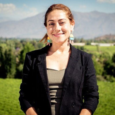 Diputada por el Distrito 6. Aconcagüina, feminista y presidenta regional de @la_convergencia.