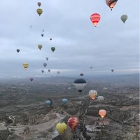 Ant (@gracejneo) 's Twitter Profile