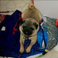 Melzilla71's profile picture. 