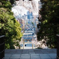 【公式】仙台東照宮参拝情報 (@sendai_toshogu) 's Twitter Profile