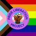 Pride Liberation Project (@PrideLiberation) Twitter profile photo