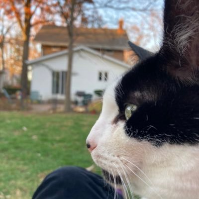 CCrook16's profile picture. “Love is the best fuel for justice.” - Bernice King