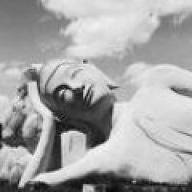 LazyBuddhist's profile picture. Shit is getting real