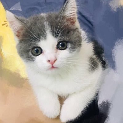 Reminance_'s profile picture. what's done is done.