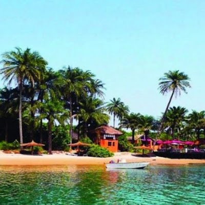 mendes_saidinho's profile picture. CRIADOR DO CANAL DJURTUS