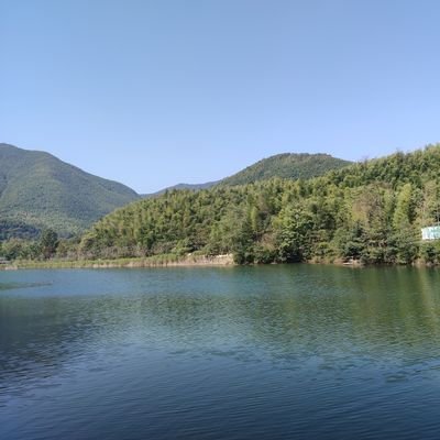 liqiang84871186's profile picture. 