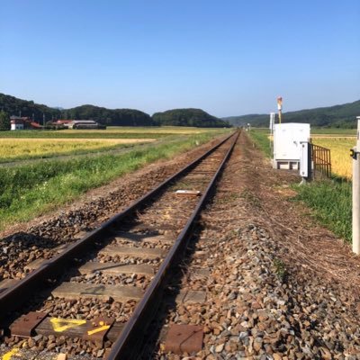 なおざねさんのプロフィール画像