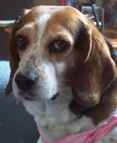 My name is Kathy Kerr and I live in Southern New Jersey.   I enjoy taking care of my pets and spending time with my daughter.