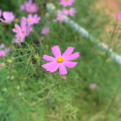 MoneySquared's profile picture. 나