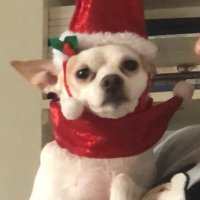 NotWholesome (@pseudowholesome) 's Twitter Profile