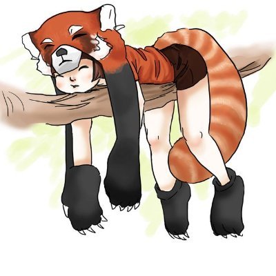 foxy_redpanda's profile picture. 
